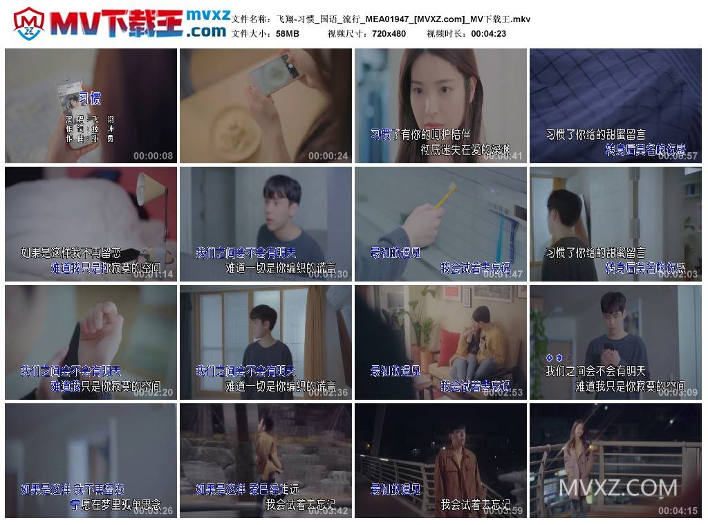 飞翔-习惯_国语_流行_MEA01947